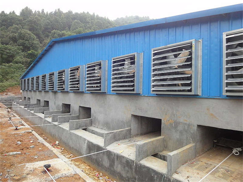Hunan pig farm environmental space ventilation and cooling case