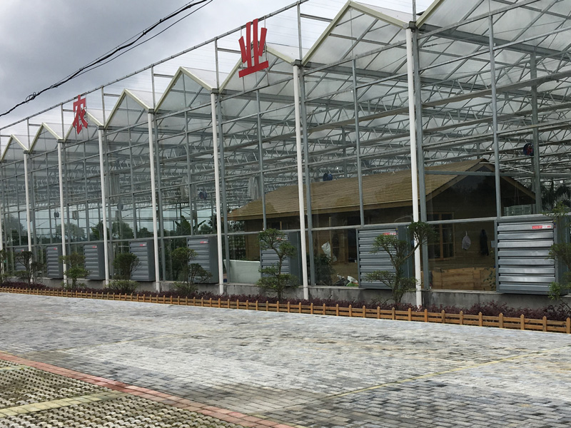 Guangdong farm greenhouse environmental space ventilation cooling case
