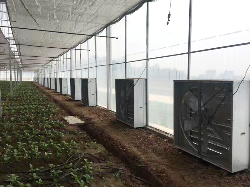 Jiangxi farm greenhouse environmental space ventilation cooling case