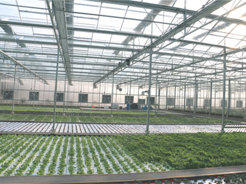 Hunan vegetable planting base environmental space ventilation and cooling case